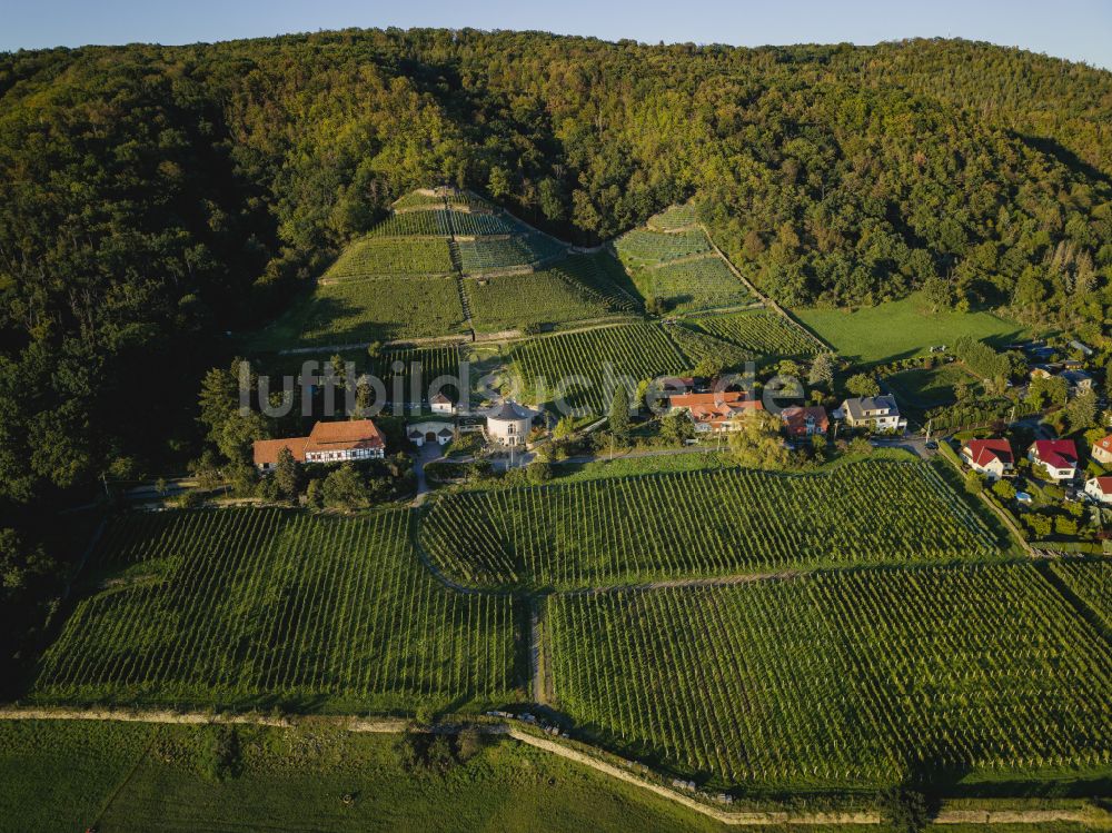 Luftbild Dresden - Gipfel Rysselkuppe in der Felsen- und Berglandschaft in Dresden im Bundesland Sachsen, Deutschland