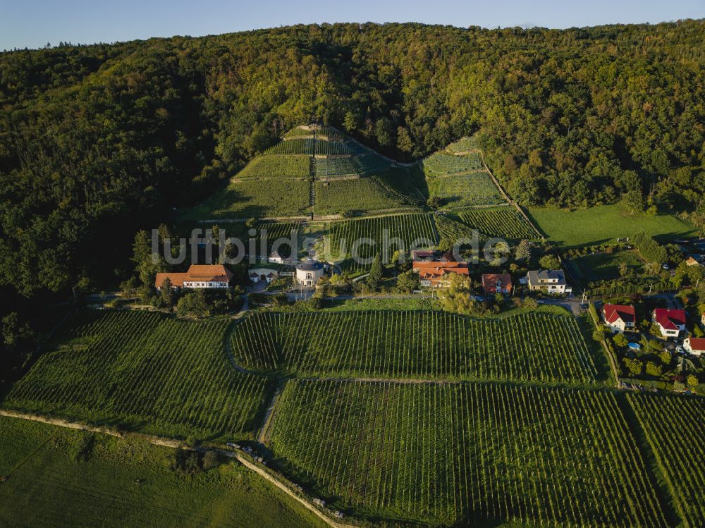 Luftaufnahme Dresden - Gipfel Rysselkuppe in der Felsen- und Berglandschaft in Dresden im Bundesland Sachsen, Deutschland