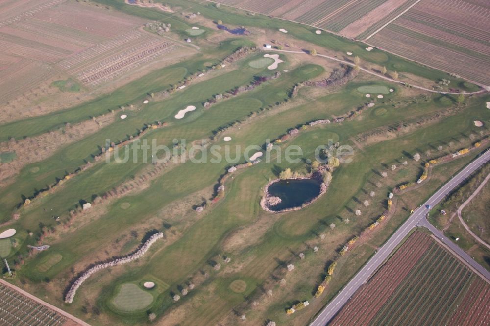 Luftaufnahme Dackenheim - Golfplatz Golfgarten Deutsche Weinstraße in Dackenheim im Bundesland Rheinland-Pfalz