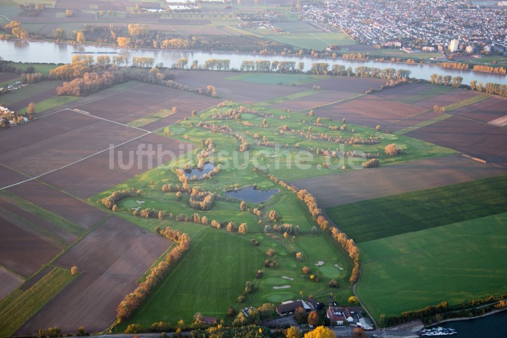 Luftbild Hamm Am Rhein - Golfplatz GC Worms am Rhein in Hamm Am Rhein im Bundesland Rheinland-Pfalz, Deutschland