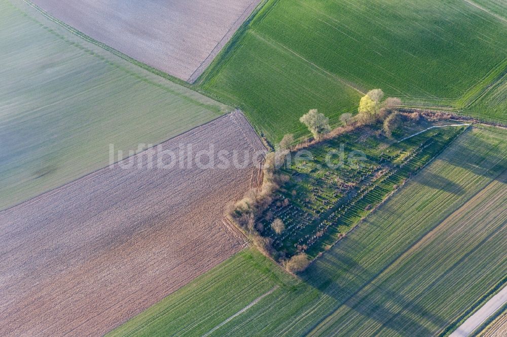 Luftaufnahme Trimbach - Grabreihen auf dem Gelände des alten jüdischenFriedhofes in Trimbach in Grand Est, Frankreich