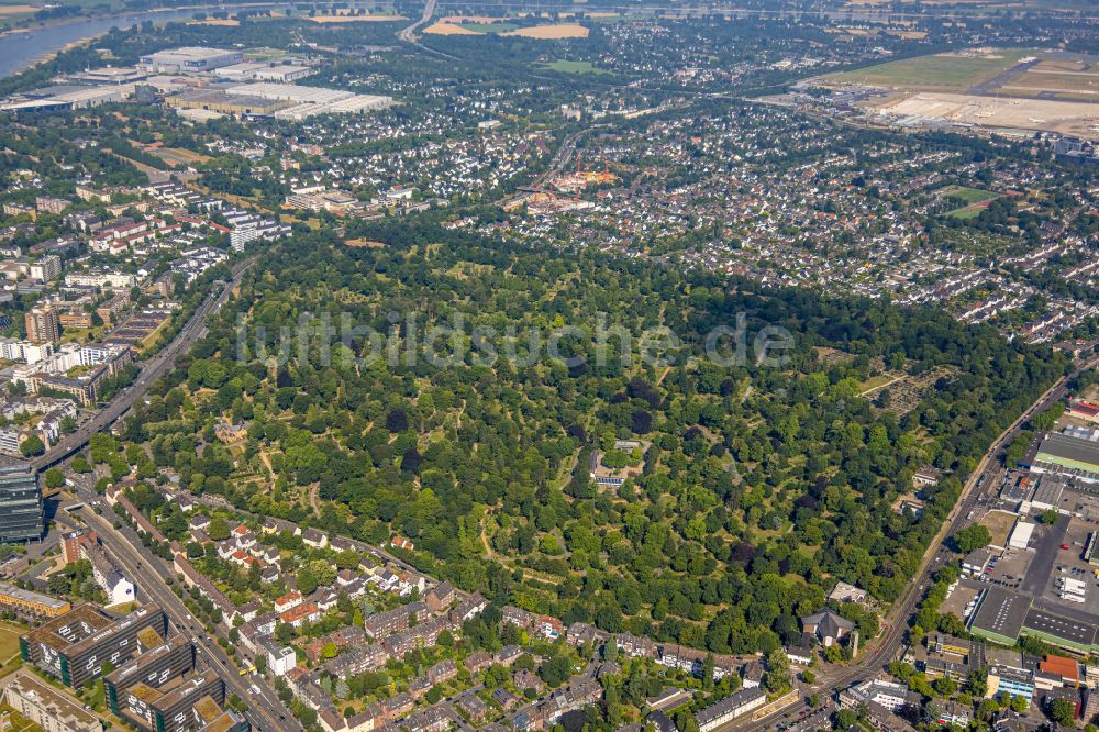 Luftaufnahme Düsseldorf - Grabreihen auf dem Gelände des Friedhofes in Düsseldorf im Bundesland Nordrhein-Westfalen, Deutschland