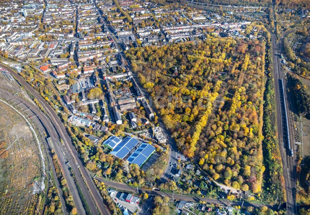 Luftbild Duisburg - Grabreihen auf dem Gelände des Friedhofes Friedhof Sternbuschweg in Duisburg im Bundesland Nordrhein-Westfalen, Deutschland