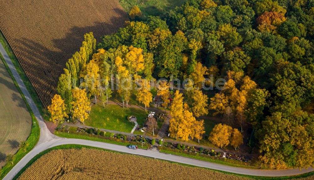 Luftbild Hamm - Grabreihen auf dem Gelände des Friedhofes in Hamm im Bundesland Nordrhein-Westfalen