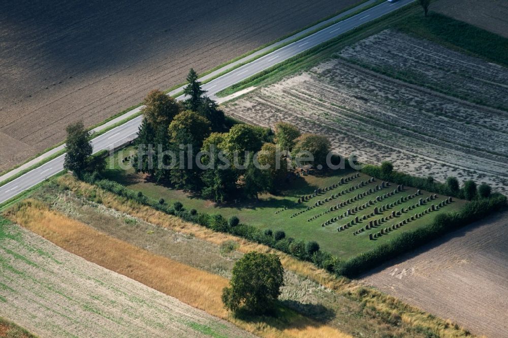 Rülzheim aus der Vogelperspektive: Grabreihen auf dem Gelände des Jüdischen Friedhof Rülzheim in Rülzheim im Bundesland Rheinland-Pfalz