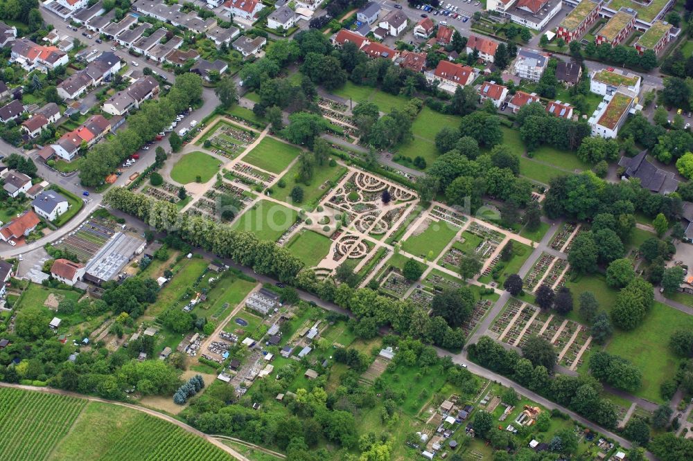 Weil am Rhein aus der Vogelperspektive: Grabreihen uns Struktur auf dem Gelände des Friedhofes in Weil am Rhein im Bundesland Baden-Württemberg