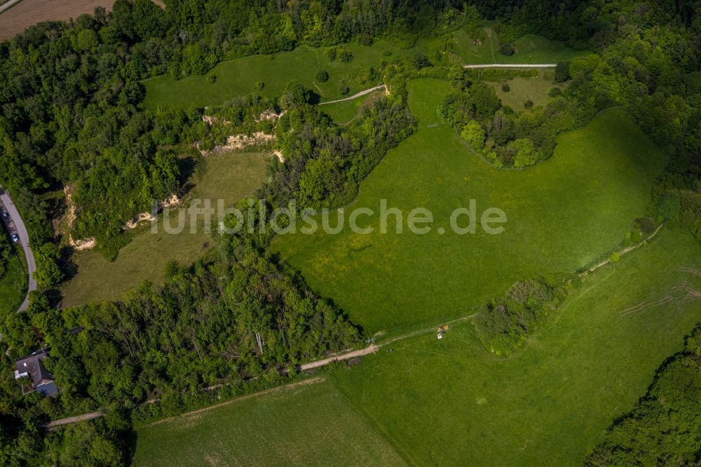 Luftbild Hiddenhausen - Grasflachen- Strukturen einer Feld- Landschaft Bustedter Wiesen in Hiddenhausen im Bundesland Nordrhein-Westfalen, Deutschland