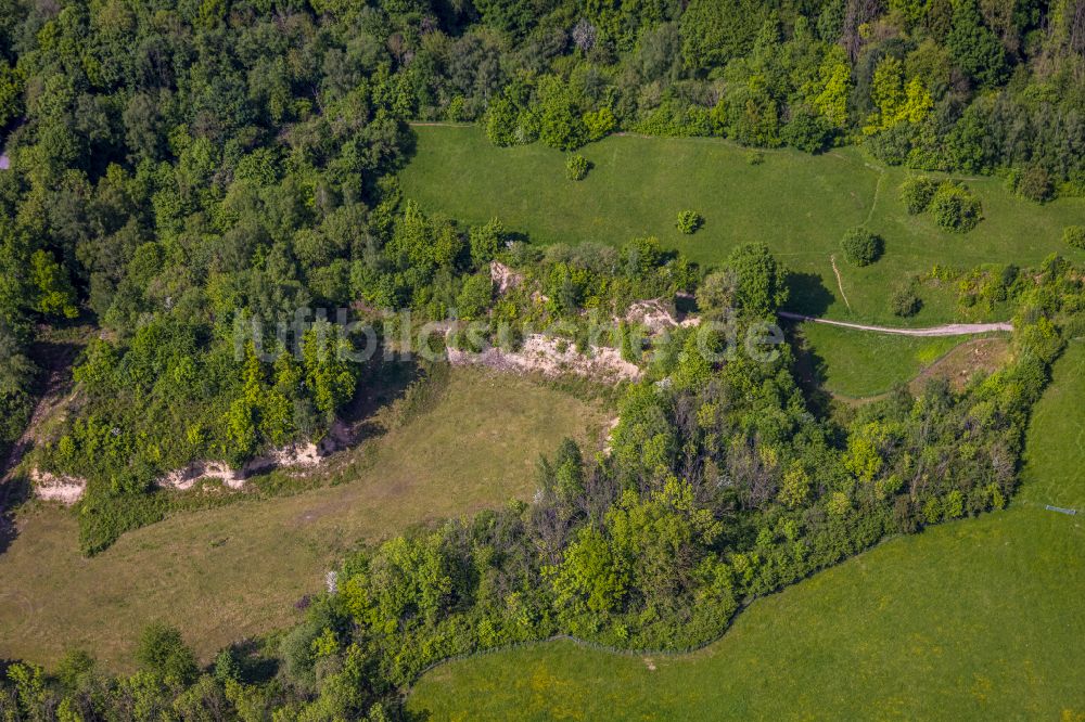 Hiddenhausen von oben - Grasflachen- Strukturen einer Feld- Landschaft Bustedter Wiesen in Hiddenhausen im Bundesland Nordrhein-Westfalen, Deutschland