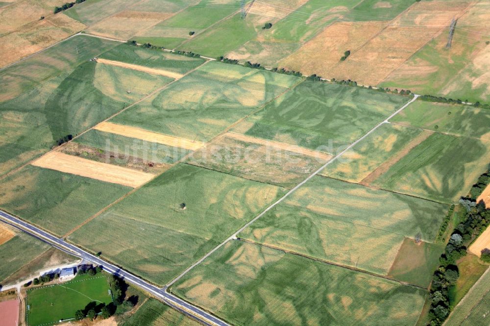 Rheinhausen von oben - Grasflächen- und Ackerland- Strukturen in der Landschaft am Oberrhein in Rheinhausen im Bundesland Baden-Württemberg, Deutschland