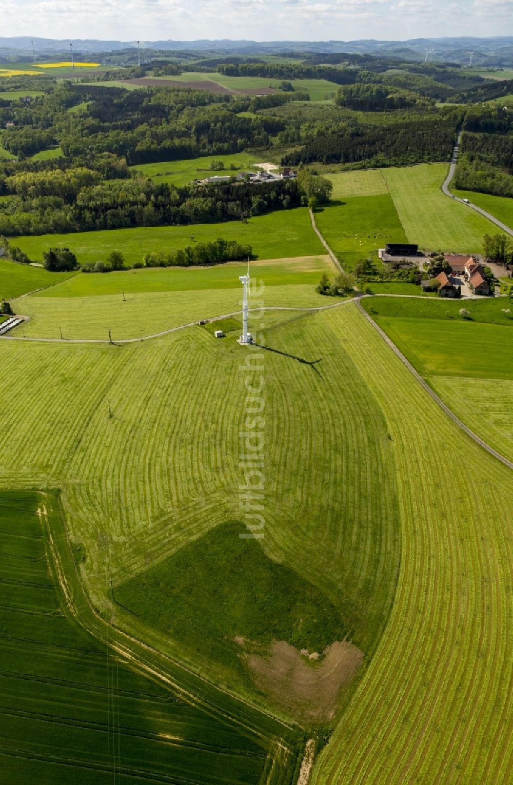 Arnsberg von oben - Grasflächen- Strukturen einer Feld- Landschaft in Arnsberg im Bundesland Nordrhein-Westfalen