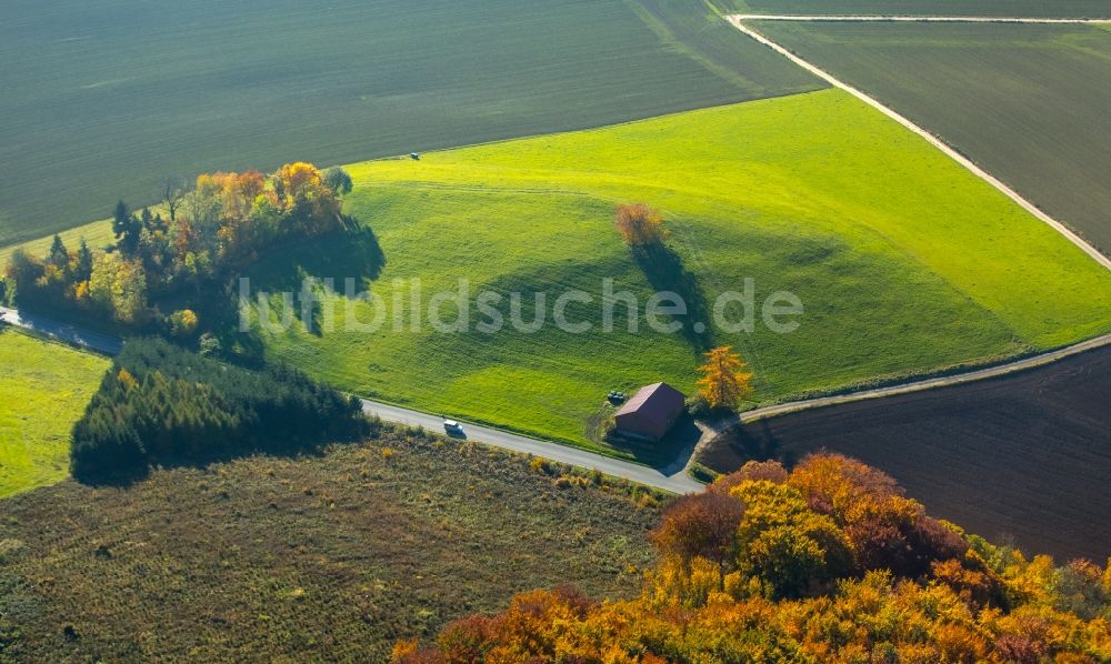 Luftbild Arnsberg - Grasflächen- Strukturen einer Feld- Landschaft in Arnsberg im Bundesland Nordrhein-Westfalen