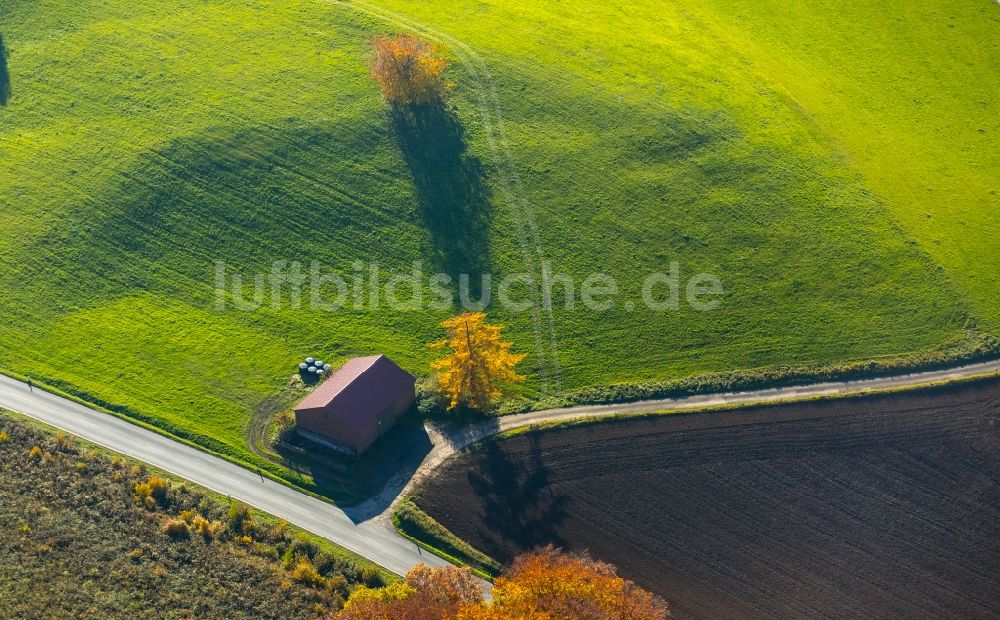 Luftaufnahme Arnsberg - Grasflächen- Strukturen einer Feld- Landschaft in Arnsberg im Bundesland Nordrhein-Westfalen