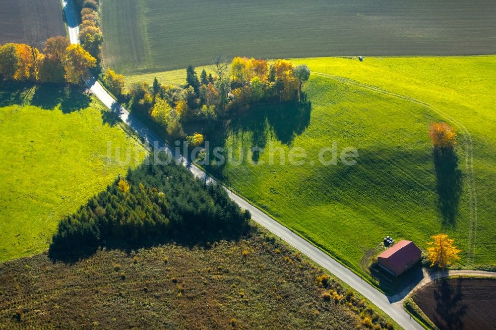 Arnsberg von oben - Grasflächen- Strukturen einer Feld- Landschaft in Arnsberg im Bundesland Nordrhein-Westfalen