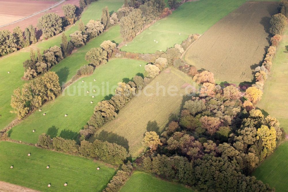 Luftbild Böbingen - Grasflächen- Strukturen einer Feld- Landschaft in Böbingen im Bundesland Rheinland-Pfalz