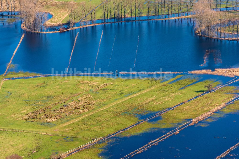 Hammah aus der Vogelperspektive: Grasflächen- Strukturen einer Feld- Landschaft bei anhaltenden Regenwetter in Hammah im Bundesland Niedersachsen, Deutschland