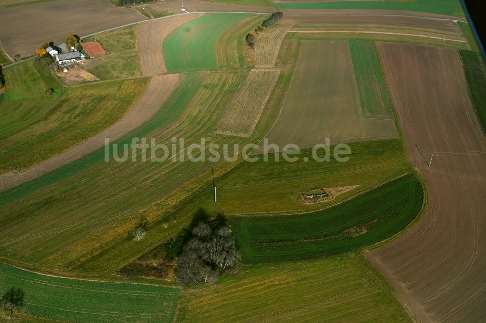 Bledesbach aus der Vogelperspektive: Grasflächen- Strukturen einer Feld- Landschaft in Bledesbach im Bundesland Rheinland-Pfalz, Deutschland