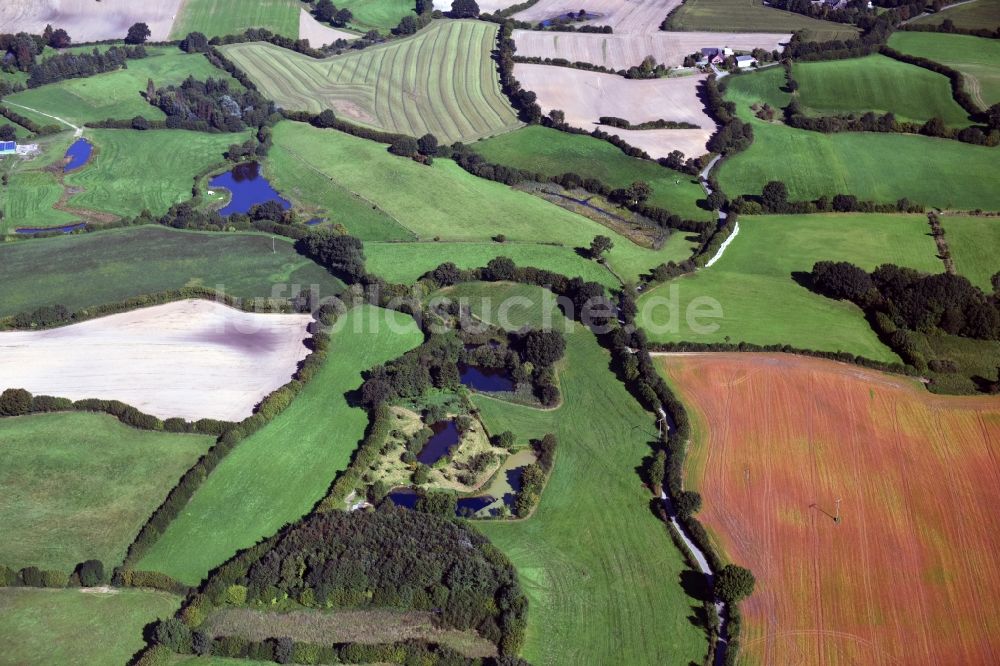 Blumenthal aus der Vogelperspektive: Grasflächen- Strukturen einer Feld- Landschaft in Blumenthal im Bundesland Schleswig-Holstein