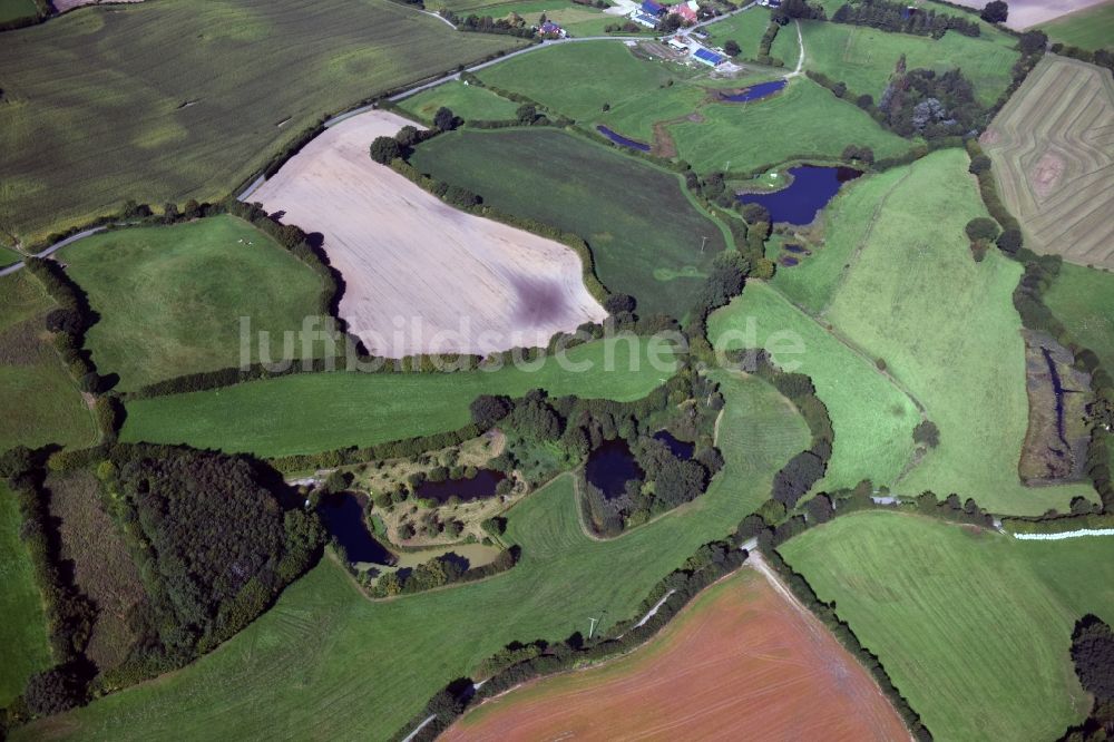 Luftaufnahme Blumenthal - Grasflächen- Strukturen einer Feld- Landschaft in Blumenthal im Bundesland Schleswig-Holstein