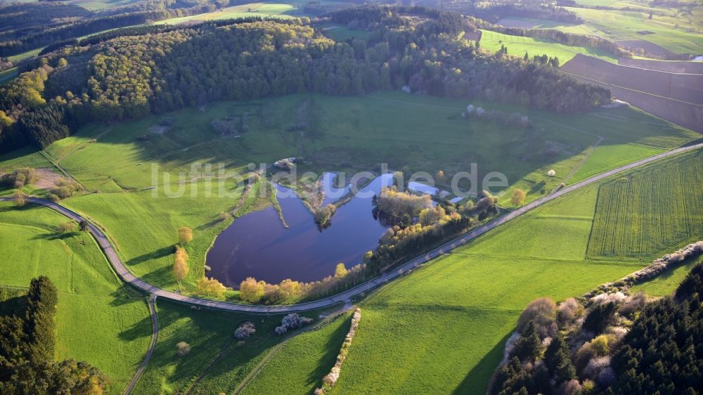 Luftaufnahme Boos - Grasflächen- Strukturen einer Feld- Landschaft Booser Doppelmaar in Boos im Bundesland Rheinland-Pfalz, Deutschland