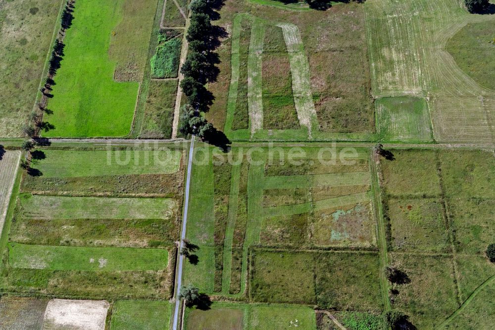 Braunschweig von oben - Grasflächen- Strukturen einer Feld- Landschaft Braunschweiger Okeraue in Braunschweig im Bundesland Niedersachsen, Deutschland