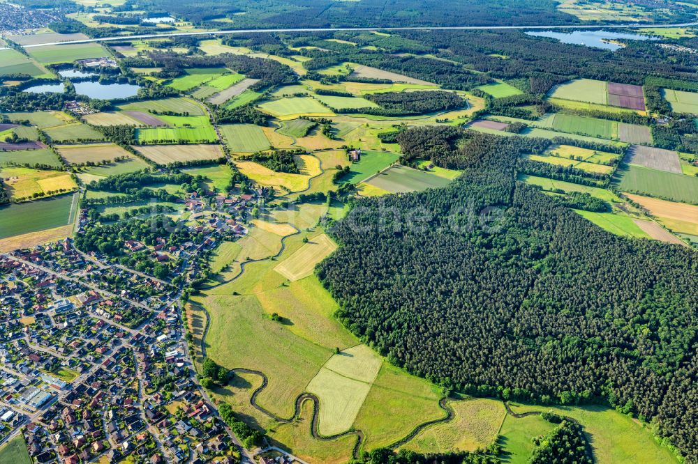 Dannenbüttel von oben - Grasflächen- Strukturen einer Feld- Landschaft in Dannenbüttel im Bundesland Niedersachsen, Deutschland