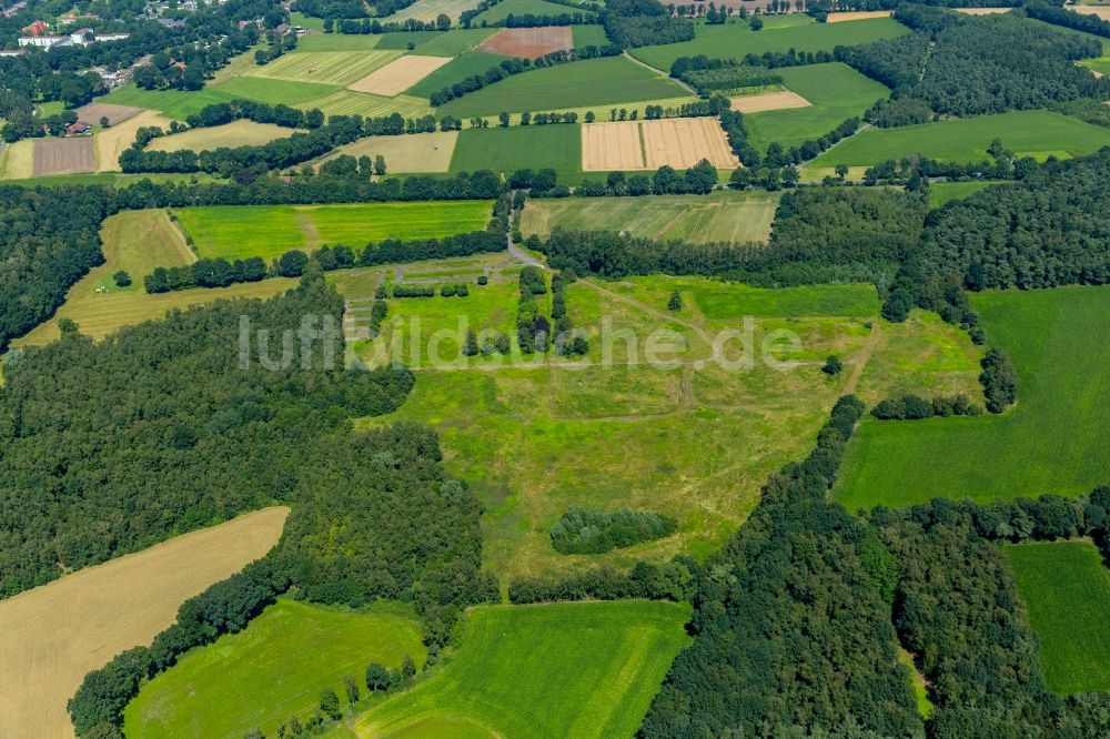 Dorsten von oben - Grasflächen- Strukturen einer Feld- Landschaft in Dorsten im Bundesland Nordrhein-Westfalen