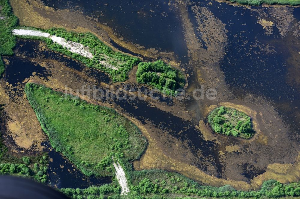 Luftbild Drage - Grasflächen- Strukturen einer Feld- Landschaft in Drage im Bundesland Niedersachsen