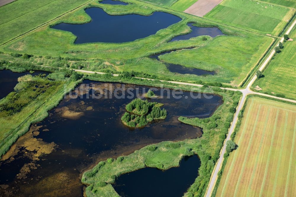 Drage von oben - Grasflächen- Strukturen einer Feld- Landschaft in Drage im Bundesland Niedersachsen