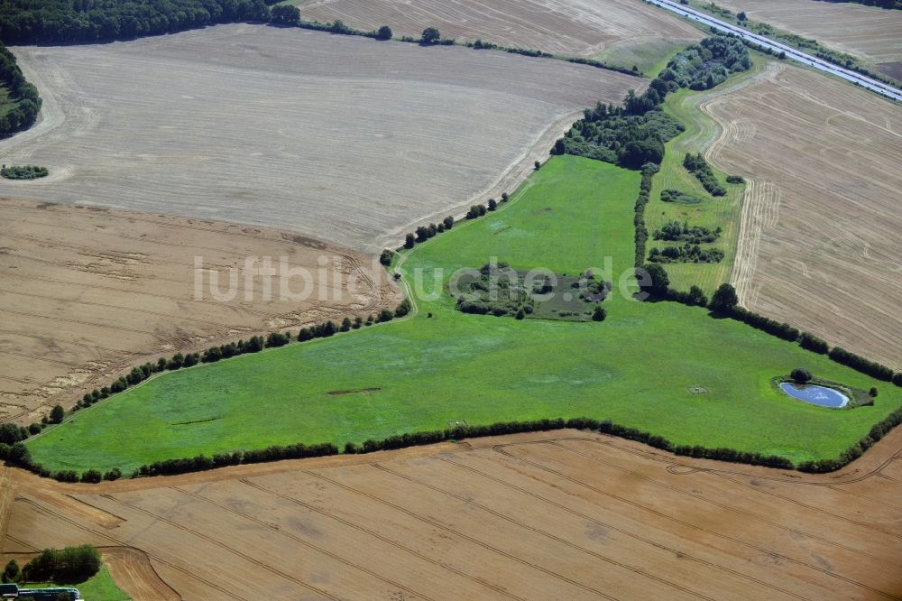 Dummerstorf aus der Vogelperspektive: Grasflächen- Strukturen einer Feld- Landschaft in Dummerstorf im Bundesland Mecklenburg-Vorpommern