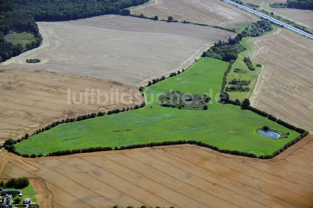 Luftaufnahme Dummerstorf - Grasflächen- Strukturen einer Feld- Landschaft in Dummerstorf im Bundesland Mecklenburg-Vorpommern