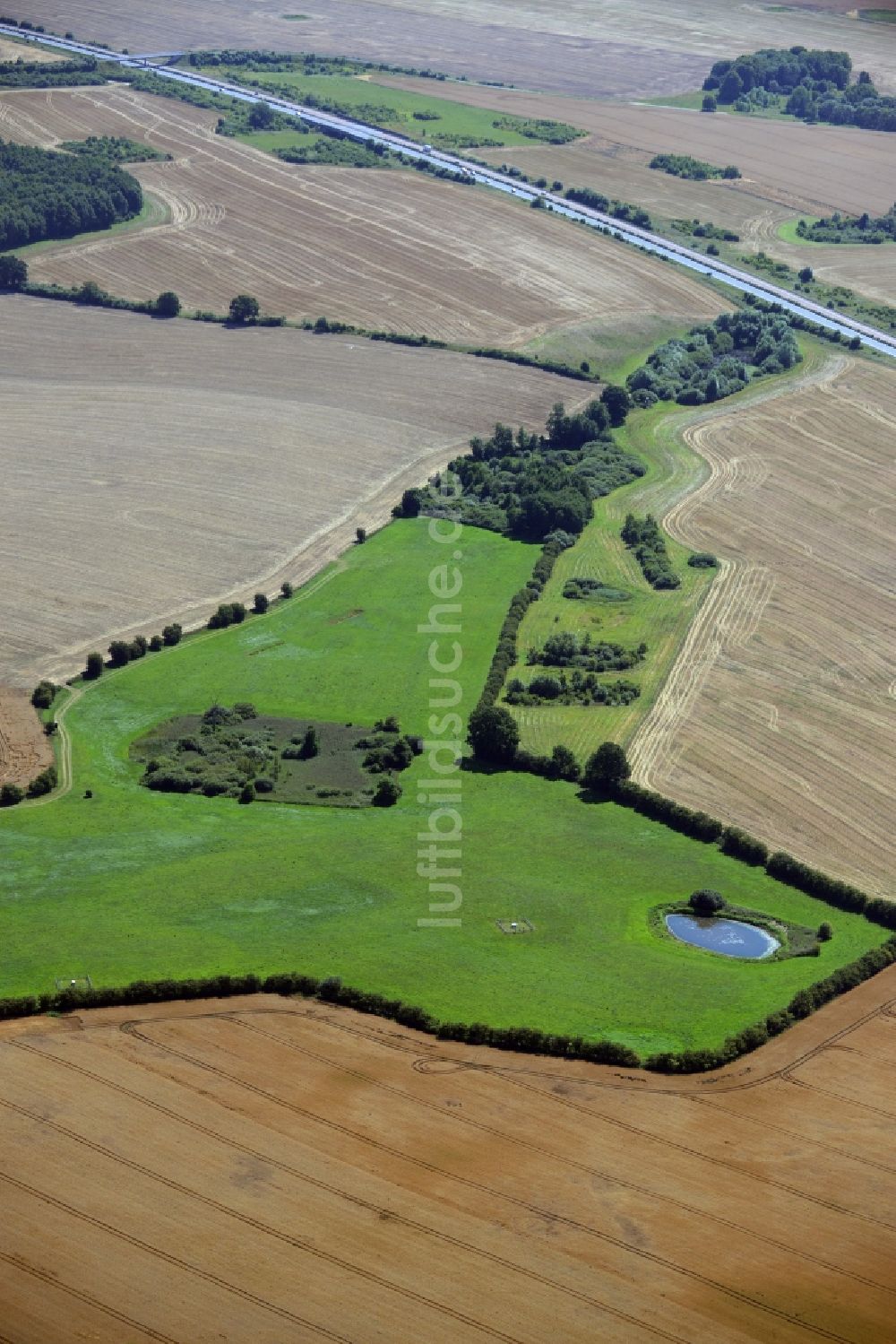 Dummerstorf von oben - Grasflächen- Strukturen einer Feld- Landschaft in Dummerstorf im Bundesland Mecklenburg-Vorpommern