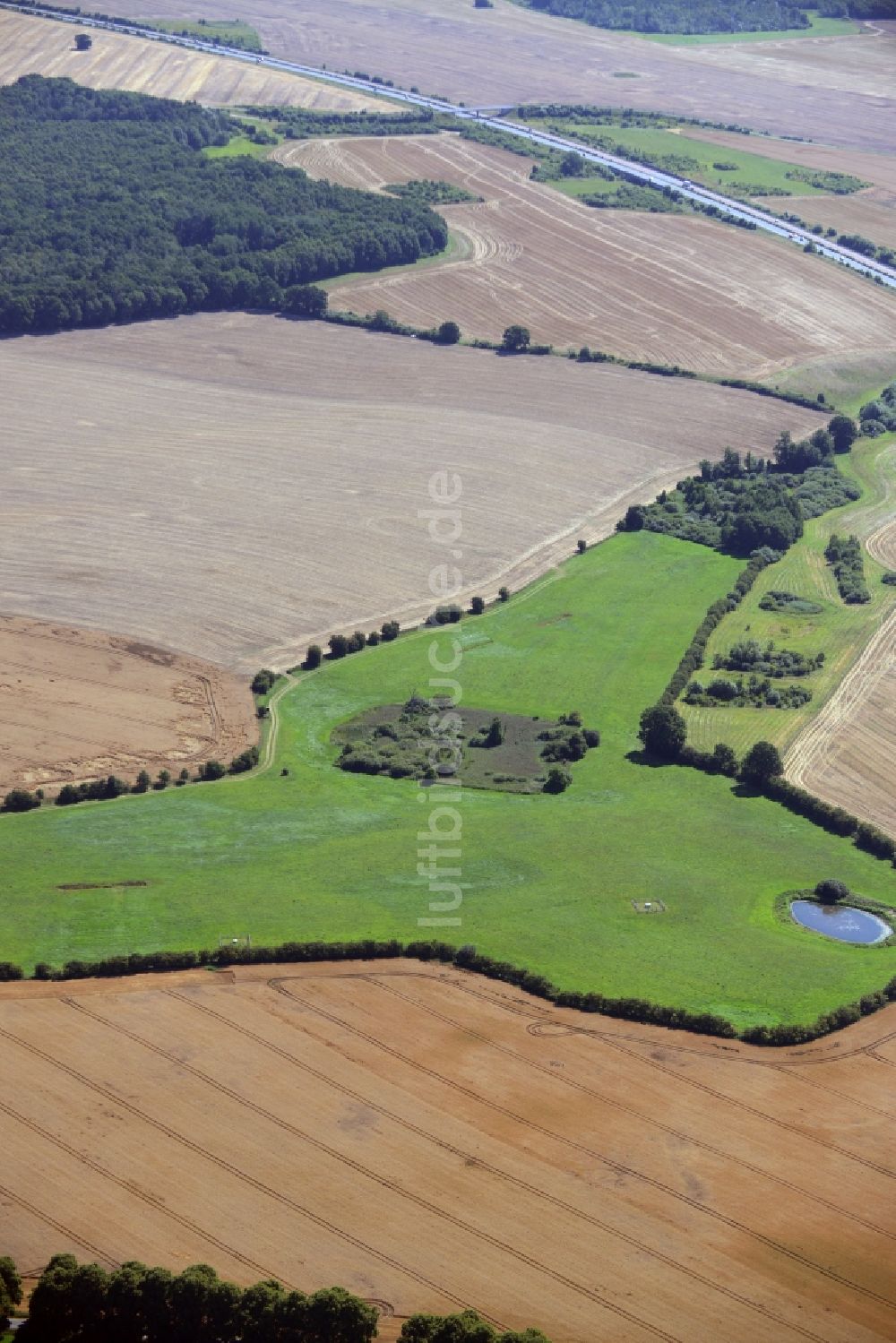 Dummerstorf aus der Vogelperspektive: Grasflächen- Strukturen einer Feld- Landschaft in Dummerstorf im Bundesland Mecklenburg-Vorpommern