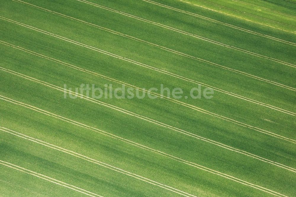 Luftaufnahme Egglkofen - Grasflächen- Strukturen einer Feld- Landschaft in Egglkofen im Bundesland Bayern, Deutschland