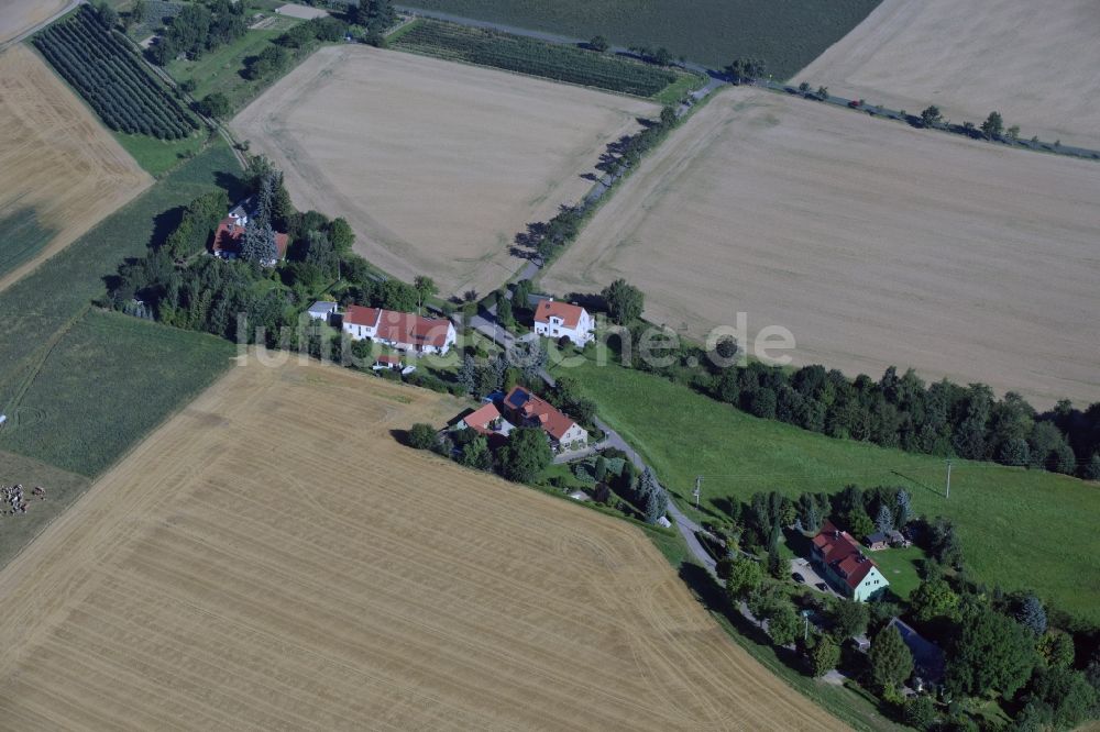 Scharfenberg von oben - Grasflächen- Strukturen einer Feld- Landschaft entlang der Straße Zur Halben Hütte in Scharfenberg im Bundesland Sachsen