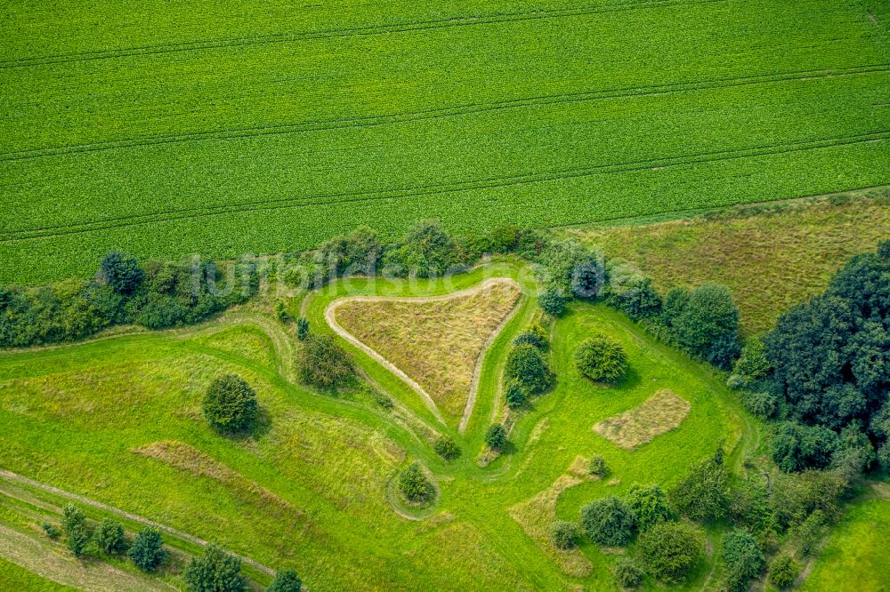 Luftaufnahme Mülheim an der Ruhr - Grasflächen- Strukturen einer Feld- Landschaft in Flughafensiedlung im Bundesland Nordrhein-Westfalen, Deutschland