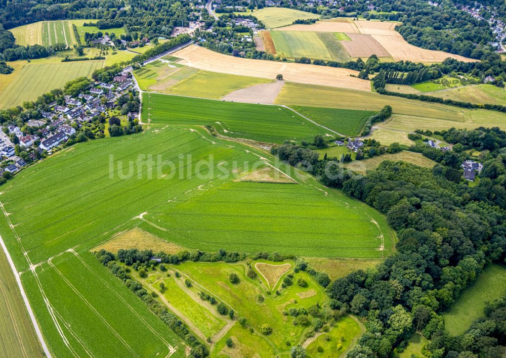 Mülheim an der Ruhr aus der Vogelperspektive: Grasflächen- Strukturen einer Feld- Landschaft in Flughafensiedlung im Bundesland Nordrhein-Westfalen, Deutschland