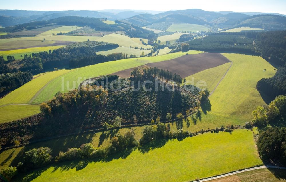 Meschede aus der Vogelperspektive: Grasflächen- Strukturen einer Feld- Landschaft in Frielinghausen in Meschede im Bundesland Nordrhein-Westfalen