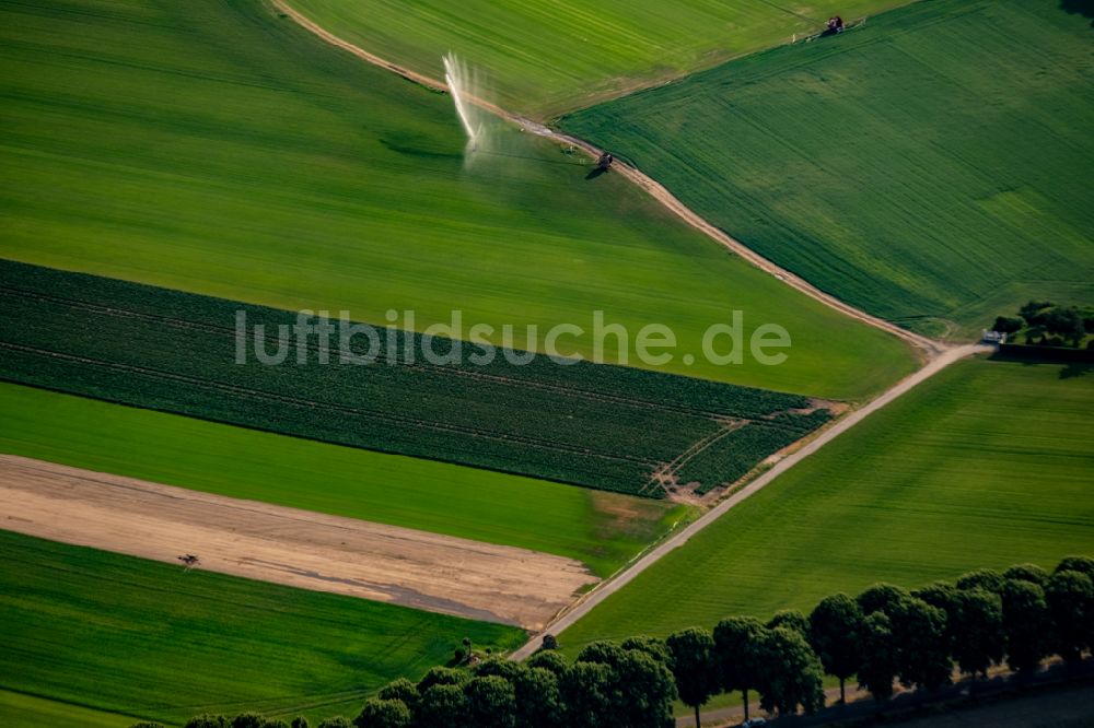 Herten aus der Vogelperspektive: Grasflächen- Strukturen einer Feld- Landschaft des Garten- und Landschaftsbau Bertlich in Herten im Bundesland Nordrhein-Westfalen, Deutschland