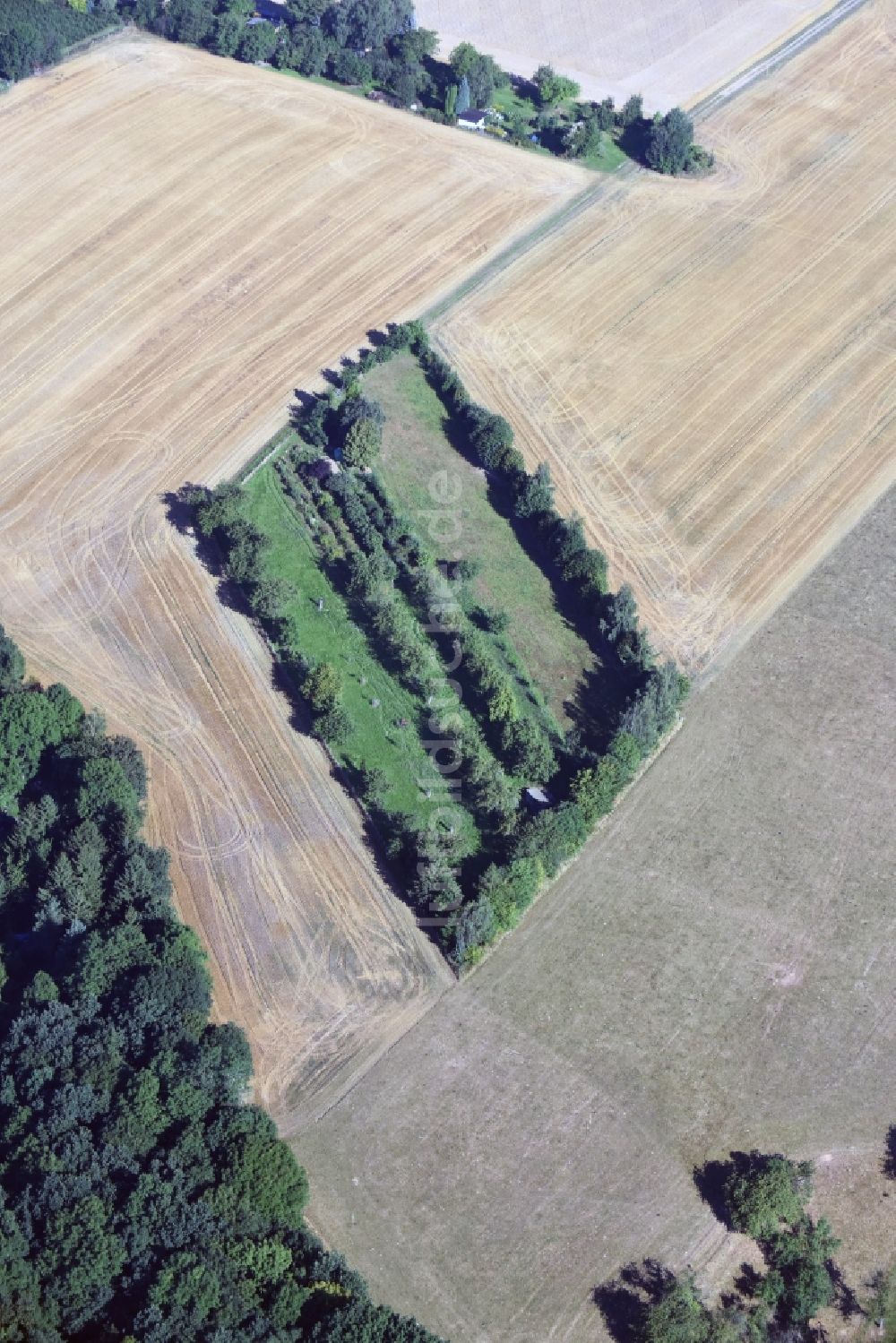 Luftbild Scharfenberg - Grasflächen- Strukturen einer Feld- Landschaft mit einer Gartenfläche nahe Scharfenberg im Bundesland Sachsen