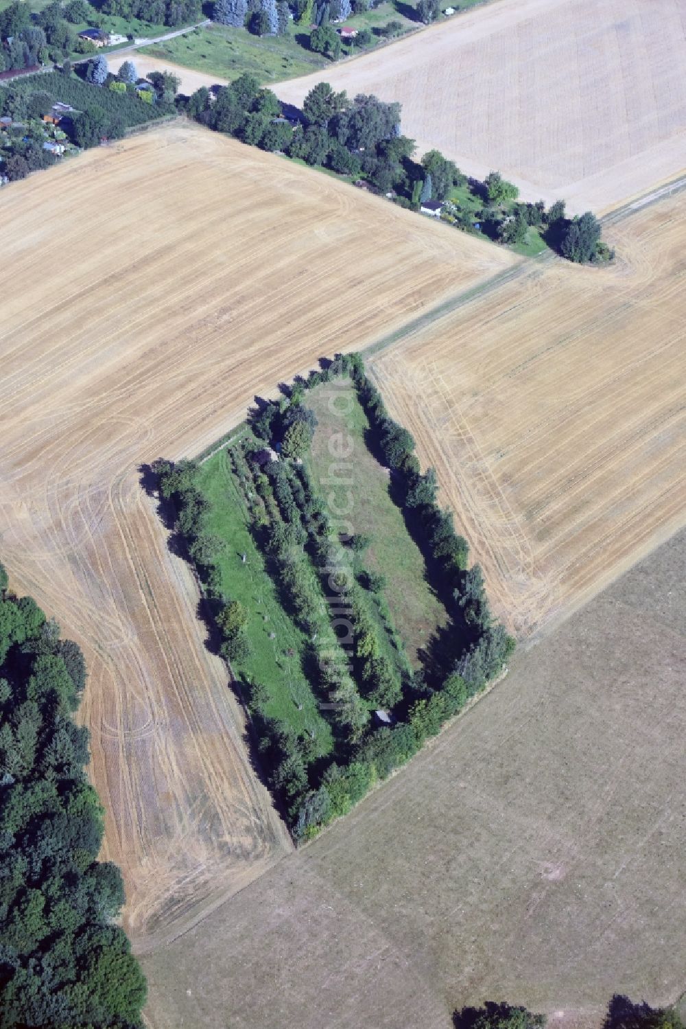 Luftaufnahme Scharfenberg - Grasflächen- Strukturen einer Feld- Landschaft mit einer Gartenfläche nahe Scharfenberg im Bundesland Sachsen