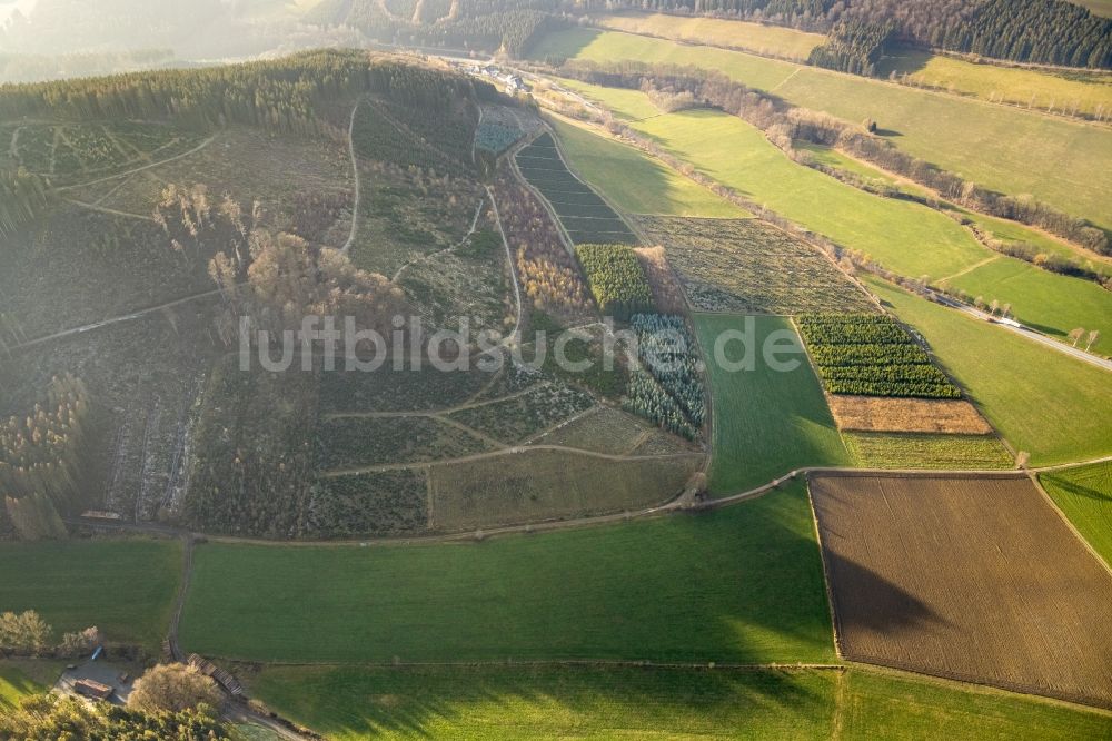 Luftaufnahme Gellinghausen - Grasflächen- Strukturen einer Feld- Landschaft in Gellinghausen im Bundesland Nordrhein-Westfalen, Deutschland