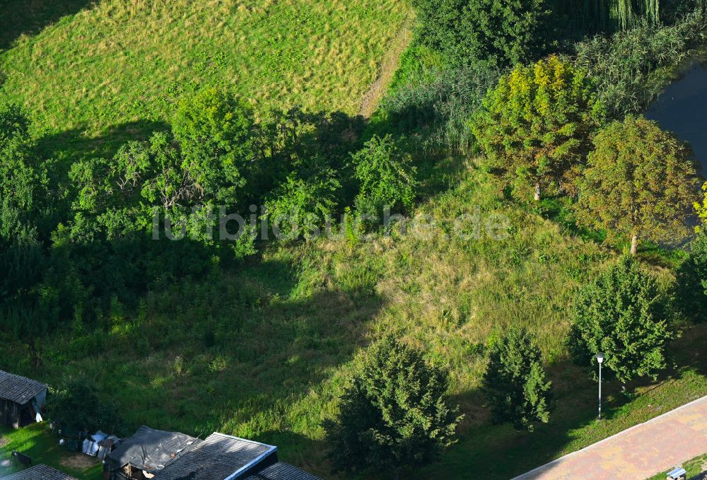 Groß Daberkow von oben - Grasflächen- Strukturen einer Feld- Landschaft in Groß Daberkow im Bundesland Mecklenburg-Vorpommern, Deutschland