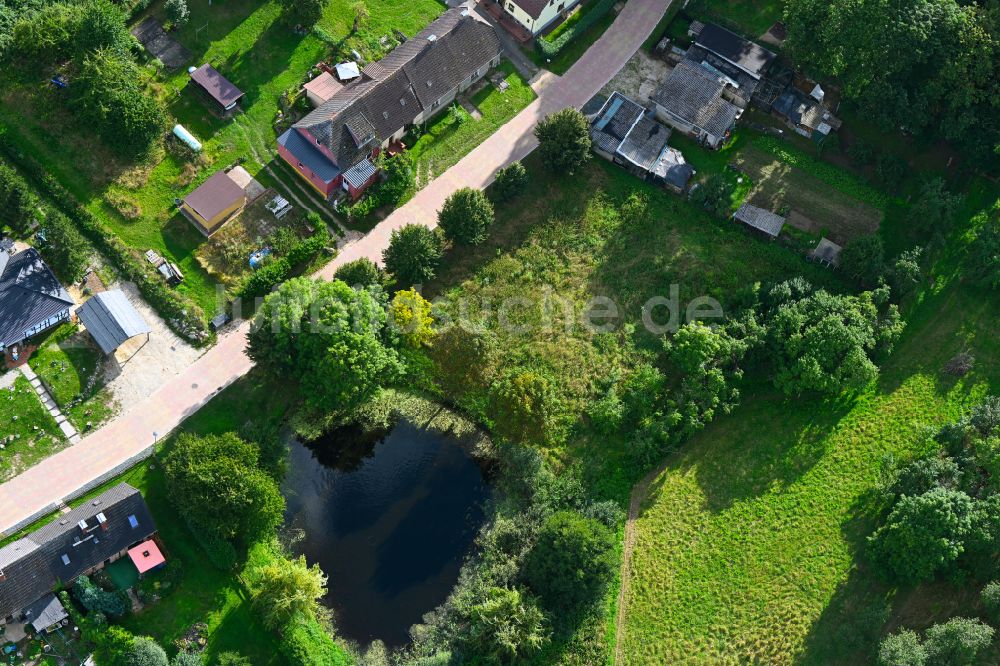 Groß Daberkow aus der Vogelperspektive: Grasflächen- Strukturen einer Feld- Landschaft in Groß Daberkow im Bundesland Mecklenburg-Vorpommern, Deutschland