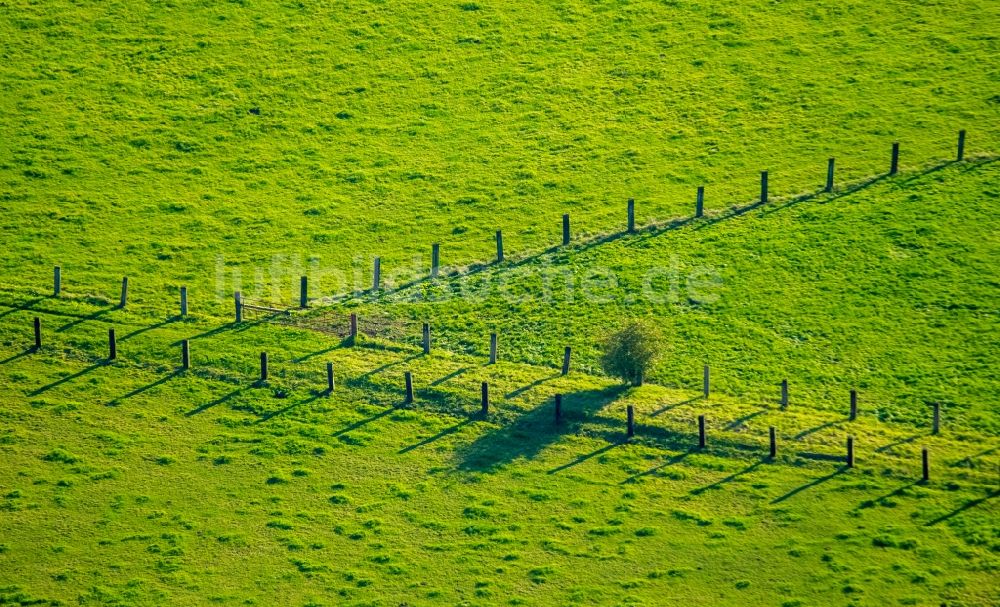 Hamm von oben - Grasflächen- Strukturen einer Feld- Landschaft in Hamm im Bundesland Nordrhein-Westfalen