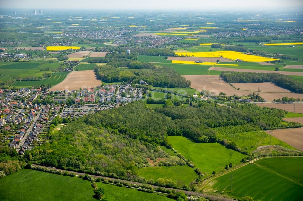 Hamm von oben - Grasflächen- Strukturen einer Feld- Landschaft in Hamm im Bundesland Nordrhein-Westfalen