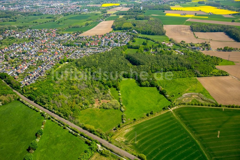 Hamm aus der Vogelperspektive: Grasflächen- Strukturen einer Feld- Landschaft in Hamm im Bundesland Nordrhein-Westfalen