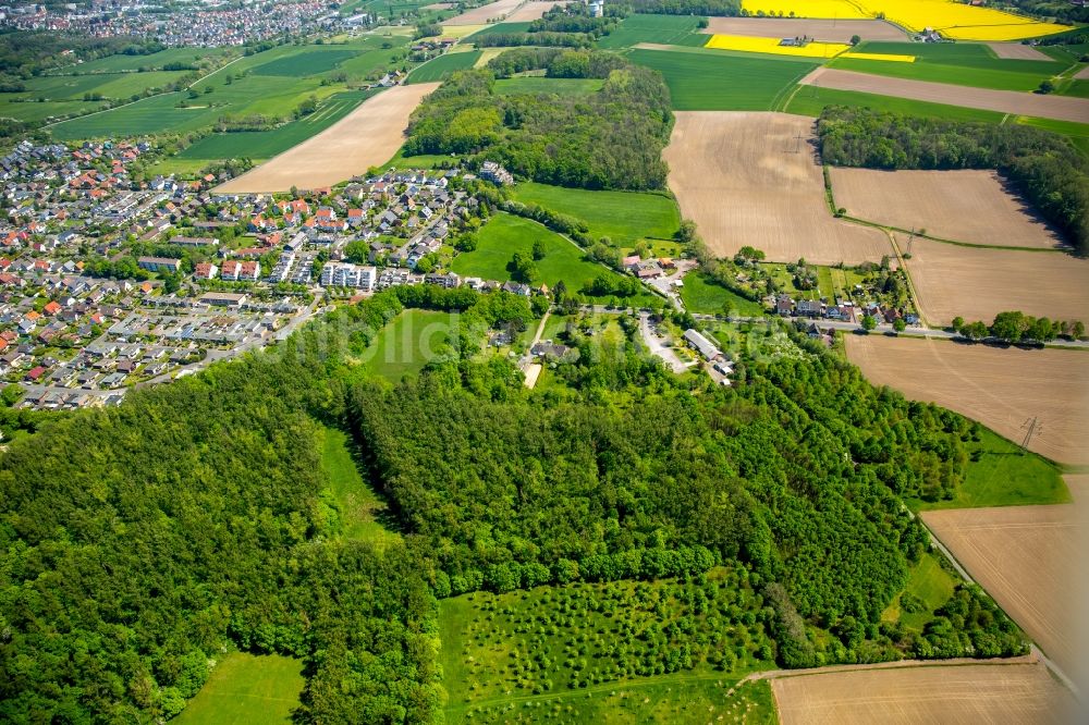 Luftbild Hamm - Grasflächen- Strukturen einer Feld- Landschaft in Hamm im Bundesland Nordrhein-Westfalen