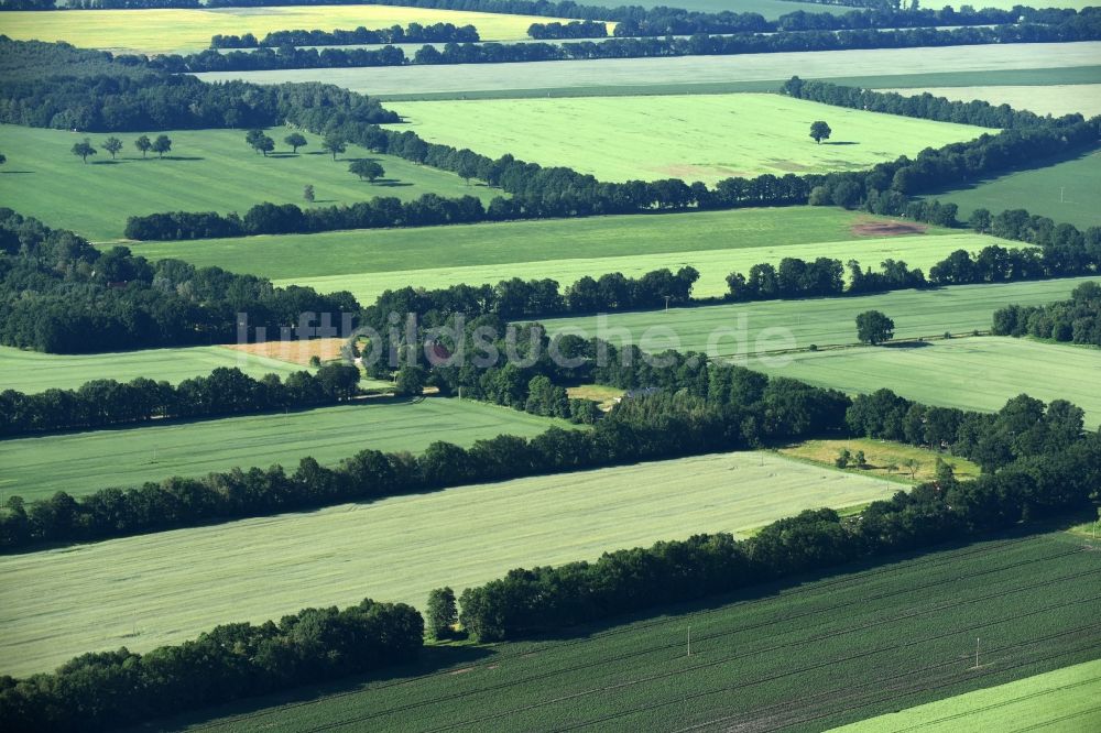 Luftaufnahme Lübtheen - Grasflächen- Strukturen einer Feld- Landschaft in Lübtheen im Bundesland Mecklenburg-Vorpommern