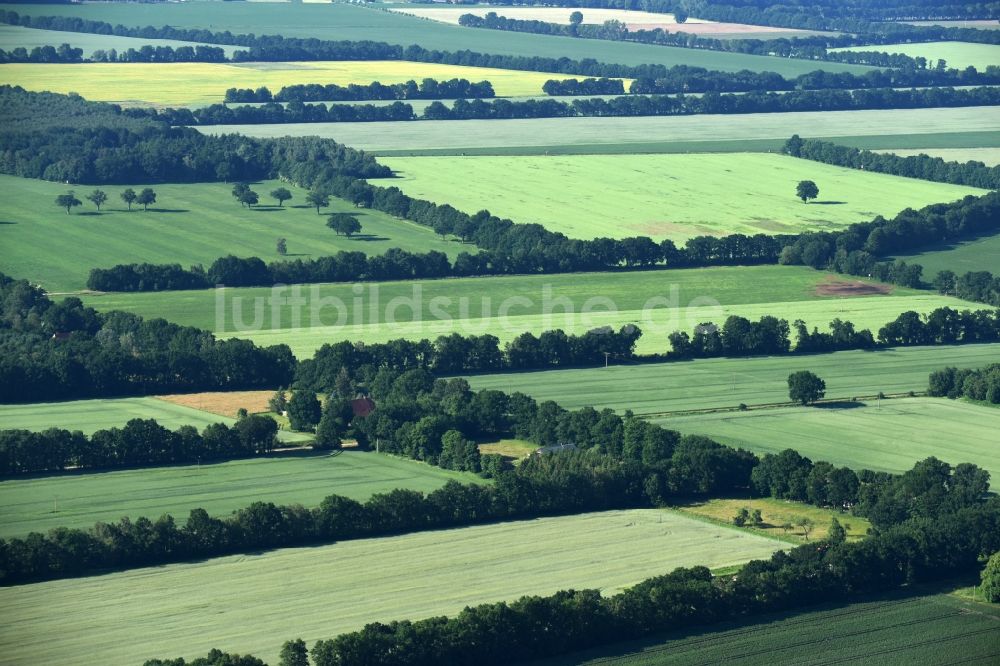 Lübtheen von oben - Grasflächen- Strukturen einer Feld- Landschaft in Lübtheen im Bundesland Mecklenburg-Vorpommern