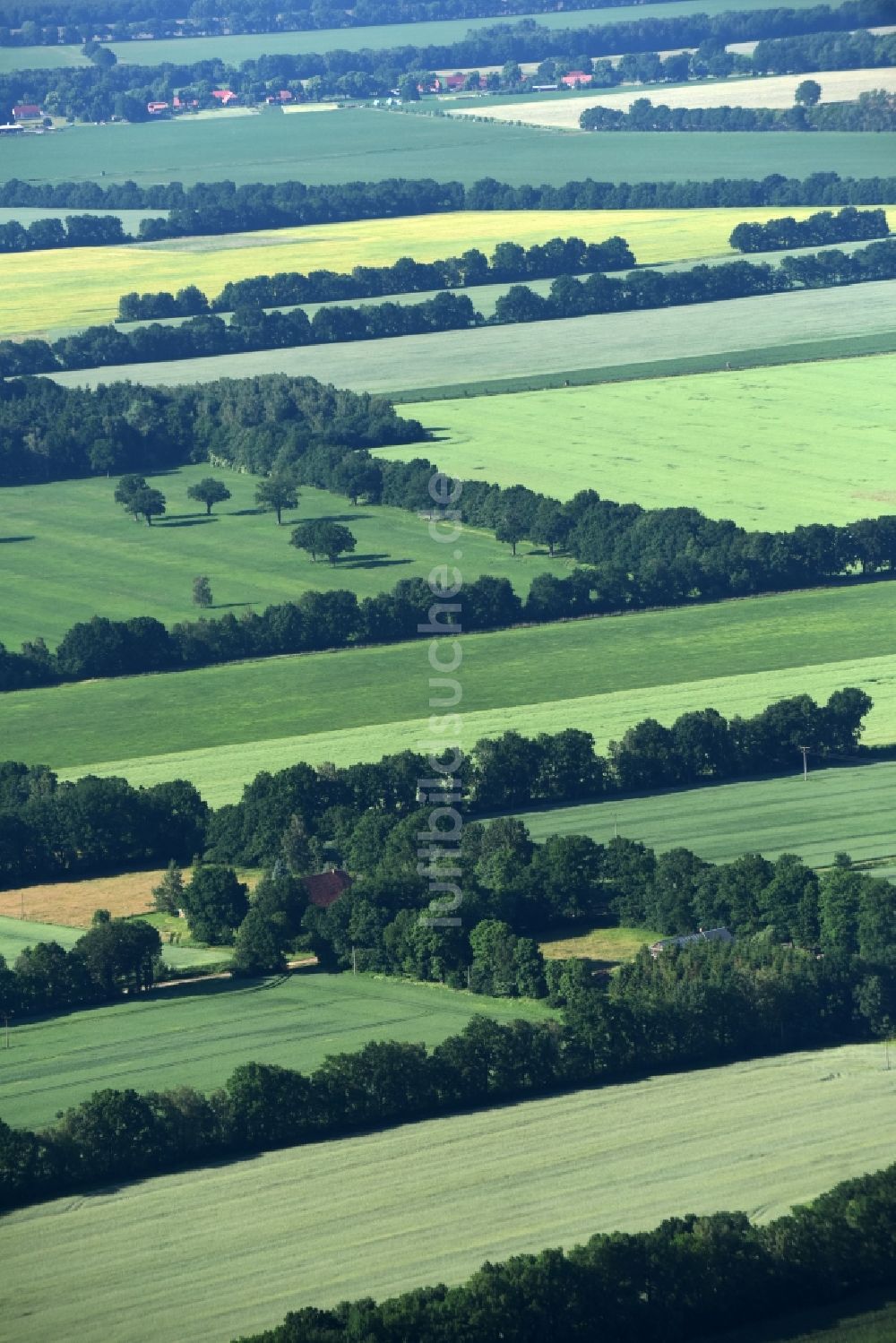 Lübtheen aus der Vogelperspektive: Grasflächen- Strukturen einer Feld- Landschaft in Lübtheen im Bundesland Mecklenburg-Vorpommern